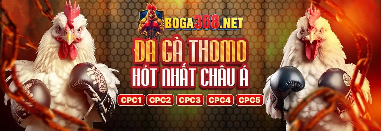 Giao diện đăng nhập đá gà trực tiếp Thomo